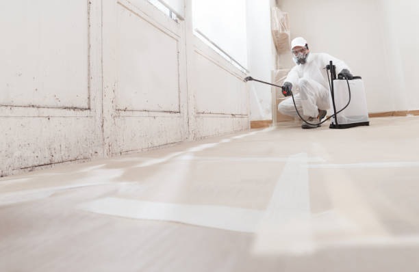 Trusted Commercial Mold Remediation service in Chesapeake, VA - WQB Mold Removal