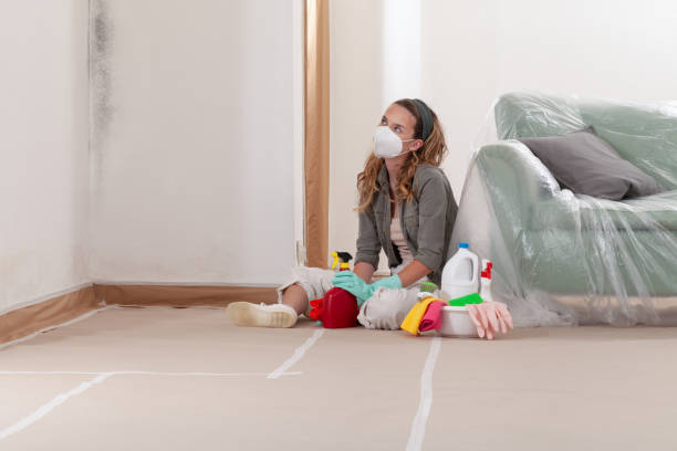 Reliable Commercial Mold Remediation contractor in Chesapeake, VA by WQB Mold Removal